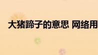 大猪蹄子的意思 网络用语与情感表达解析